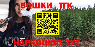 крисы Лесосибирск