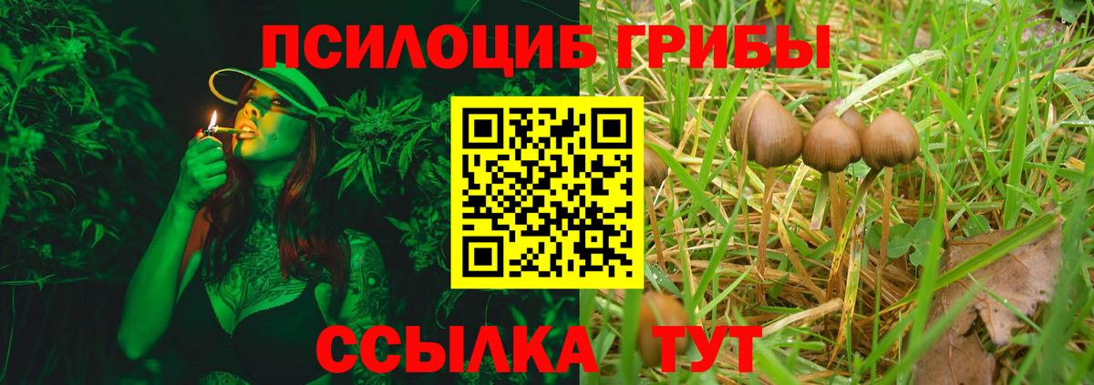 Псилоцибиновые грибы мицелий  как найти   Галлюциногенные грибы прущие грибы  Гагарин  Вход с VPN 
